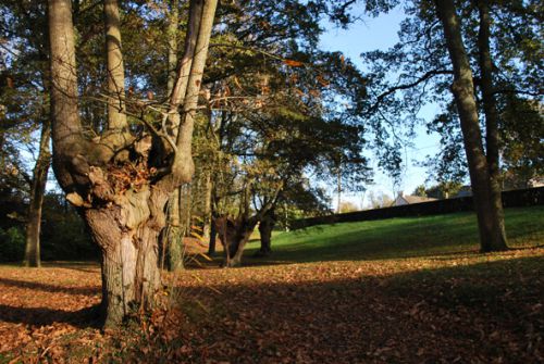 couleurs d'automne