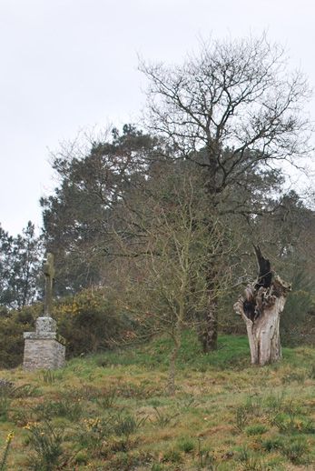 Entre Rieux et Béganne