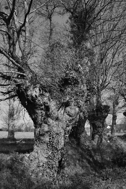 Entre Rieux et Béganne