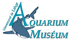 aquarium museum.gif