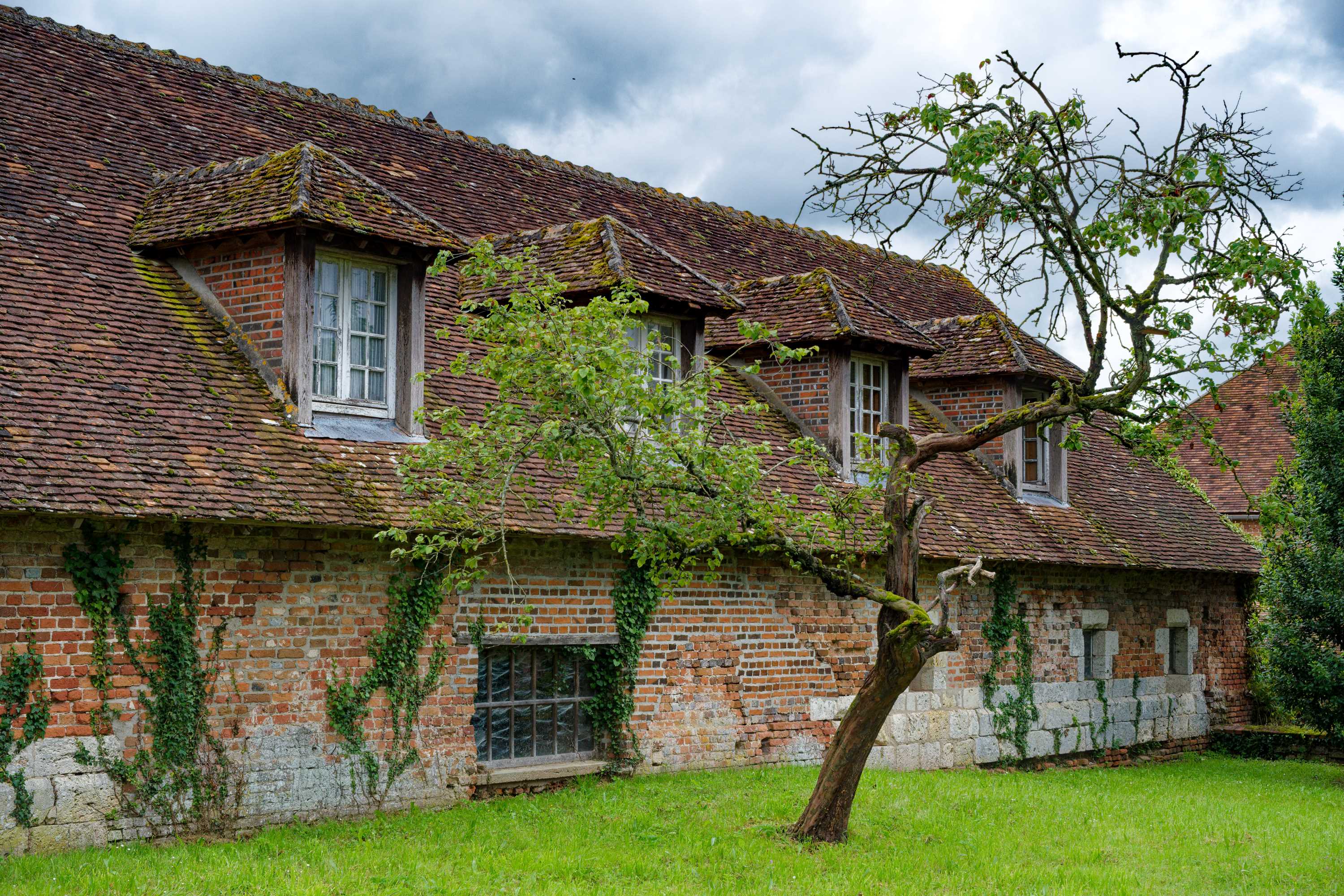 10-Château du Hallier 10 2024_05_30 DSCF4256_DxO