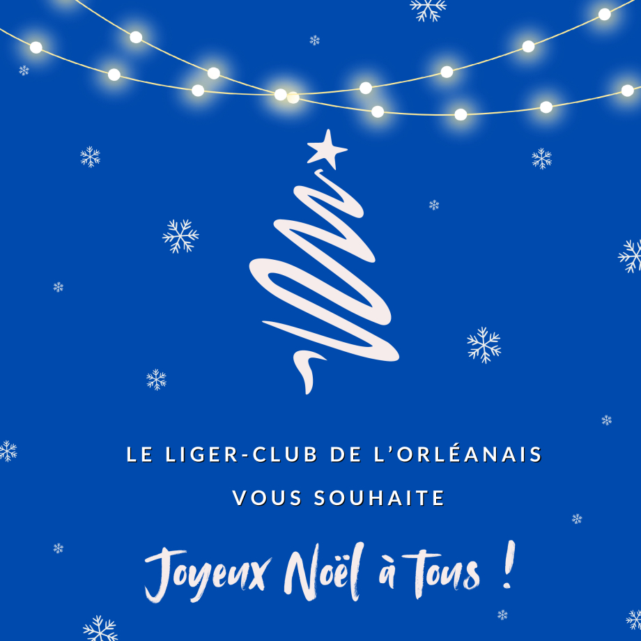 1Joyeux-Noël-illustratif-vert-blanc