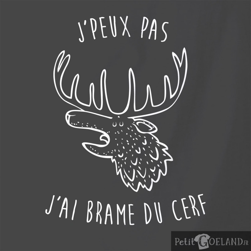 coussin-j-ai-brame-du-cerf