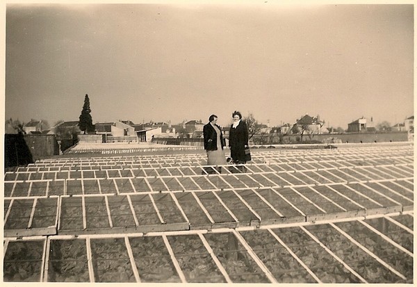 horticulture(7)