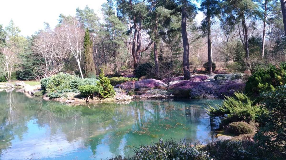 ingrannes-arboretum-grandes-bruyeres-reouverture_5333134