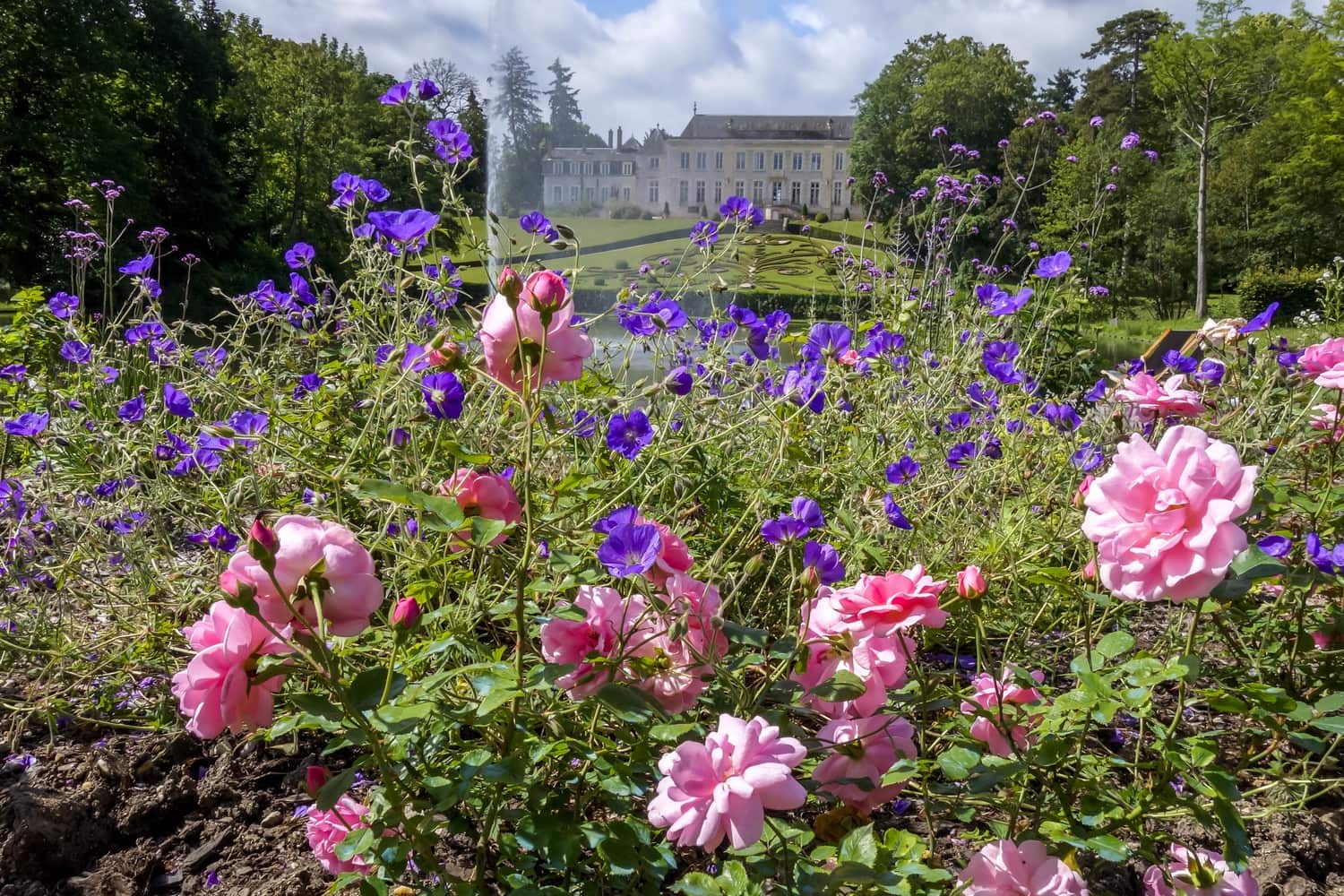 route-de-la-rose-parc-floral-la-source-orleans-tourisme-loiret