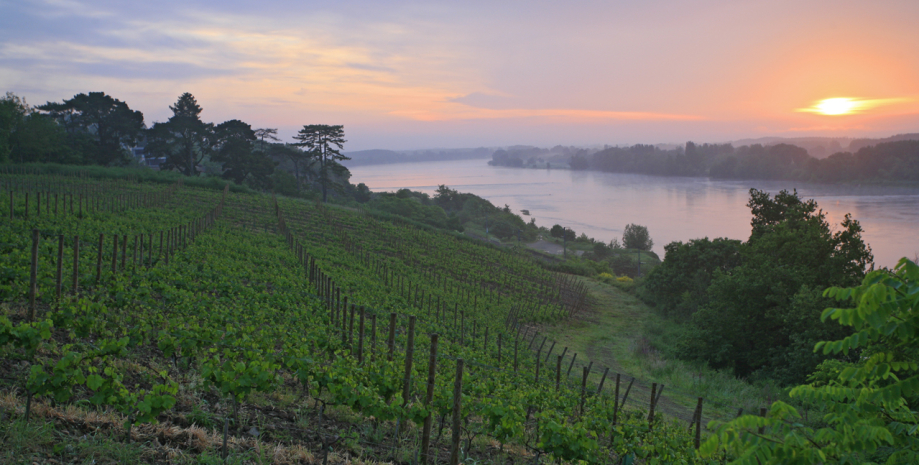 un-vaste-territoire-vignoble-val-de-loire_2