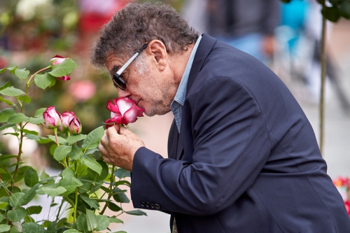 _MG_8438-Festival des roses LYON 05.2015.jpg