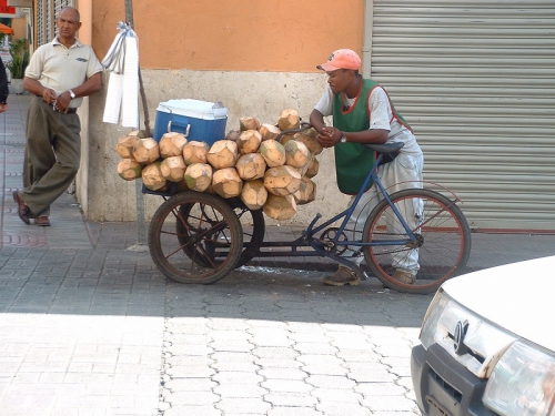 Vendeur de noix de coco.JPG