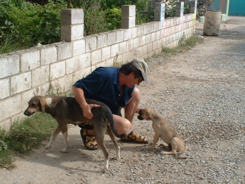 Avec les chiens à Bayahibe.JPG