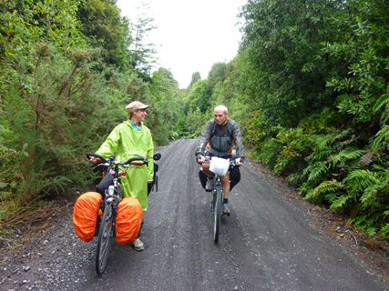 On rentre dans la jungle froide, pluie et fougeres geantes