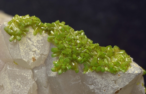 0697a Pyromorphite - L=106mm - Luminar 63mm(4) - 29cm - diff - CZP -D[202700]-I(10)-LPF(1000).jpg