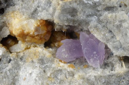 Améthystes sceptres et biterminées avec sidérite (calcito-sidérite *) et cristobalite en petites baguettes singulières blanches. Le champ photographié est de 4,25 mm. Merci à Pascal Cholet qui a pris ce cliché.