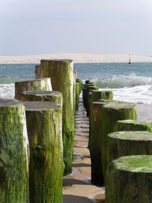 vue du cap ferret