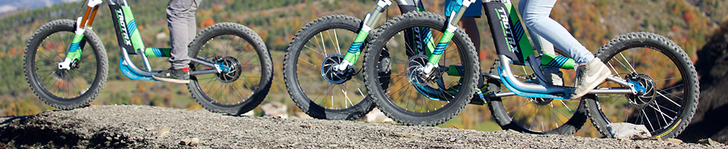 Estérel   Mountain     Bike    Electric