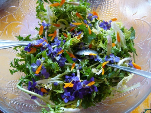 Salade-violettes.jpg