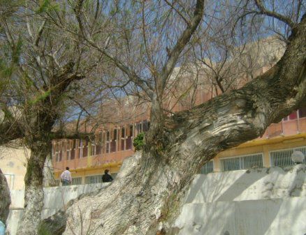 Centre de thalassothérapie de Sidi Fredj  vu côté mer. Photo prise le 17-03-2012.