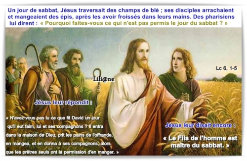 Jésus maître du sabbat 2015 2.jpg