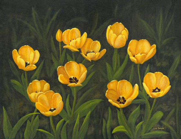 Le coin tulipes jaunes