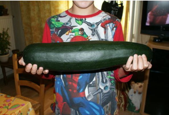courgette 4.JPG