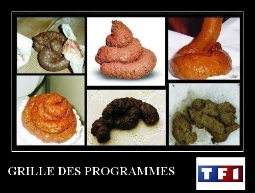 programmes tf1 grille.jpg