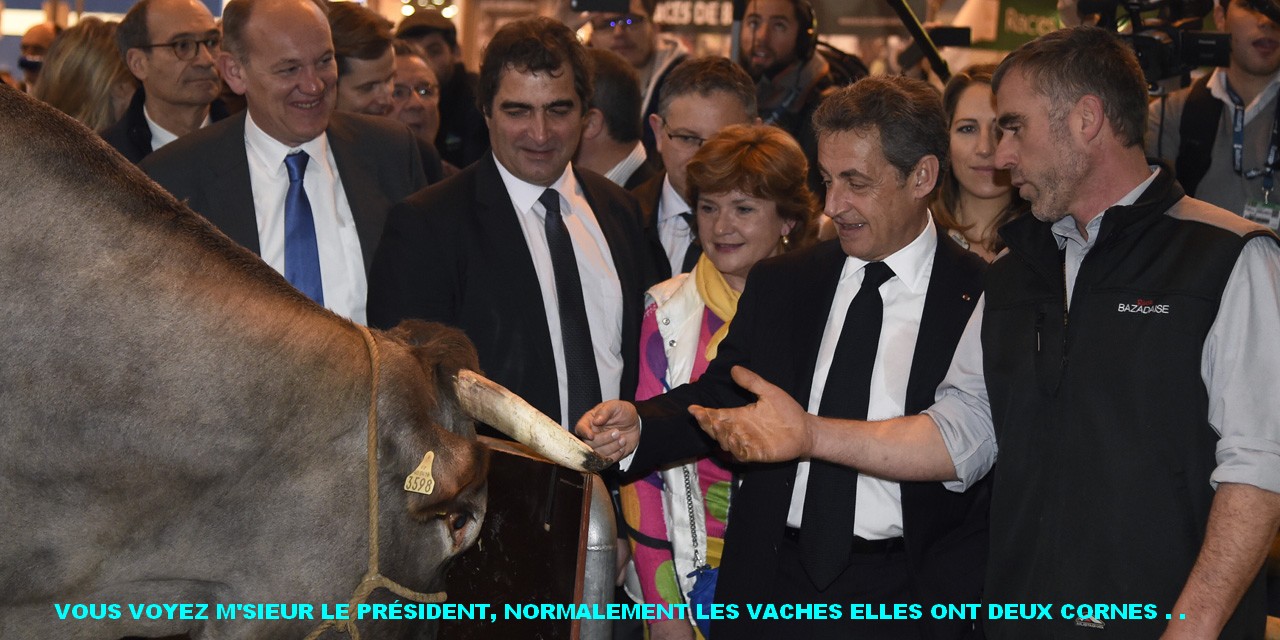 Au-Salon-de-l-Agriculture-Sarkozy-va-surfer-sur-la-vague-anti-Hollande.jpg