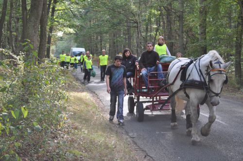 Sirène Percheron qui nous aide