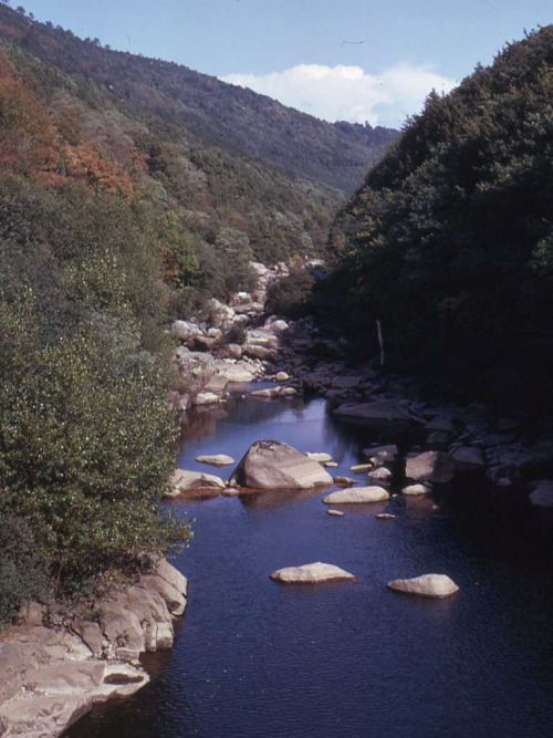 l'Agoût à Luzières