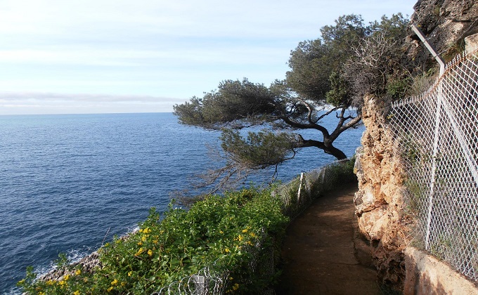 2 promenade-le-corbusier 2.jpg