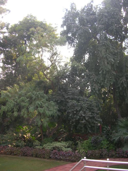 New Delhi - Jardin d'Indira Gandhi