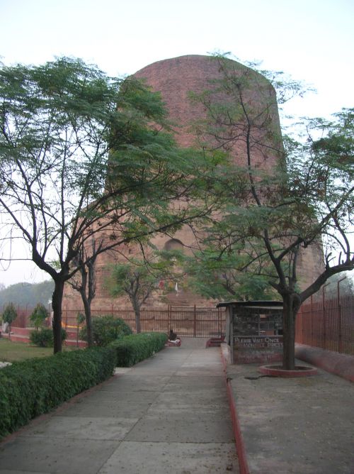 Sarnath - Un stupa