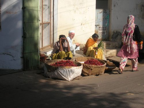 Udaipur - Les vendeurs de piment