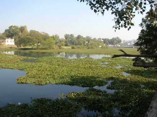 Udaipur - Le lac