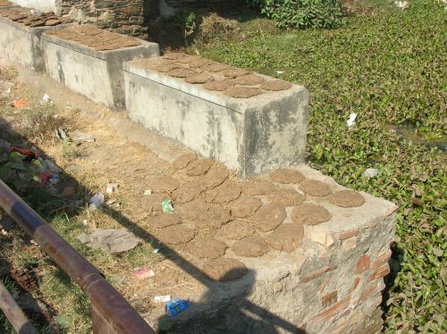 Udaipur - Les bouses qui sèchent