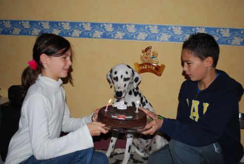 Mes 2 ans, je KIFF le gâteau au choco, ils le savent !