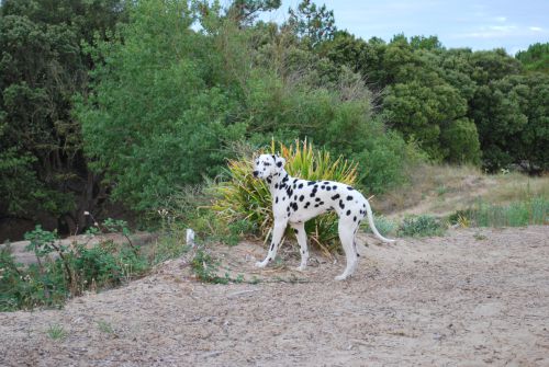 Les balades en bord de mer