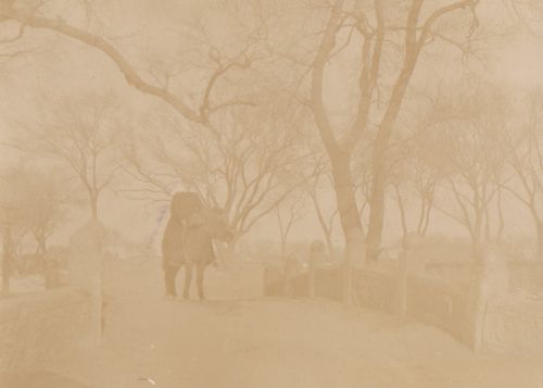 Une soeur de charité à cheval