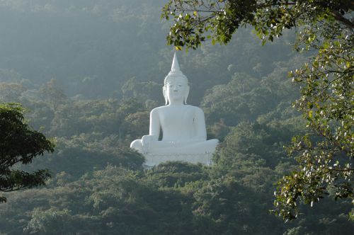 Le grand bouddha blanc
