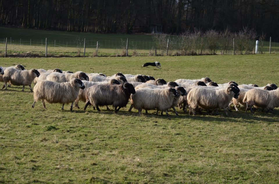 Ferme de la Noue