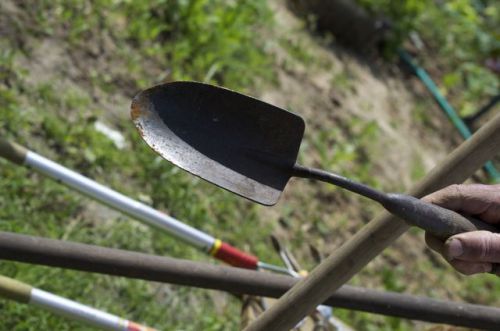 le Transplantoir !!!...outil favori de Michel le Jardinier...