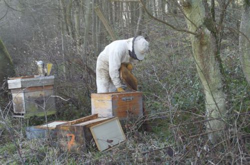 Au final, ce sont 3 ruches qui ont bénéficié de cette visite de printemps !!!...Nous avons hâte de goûter à leur miel...!!!