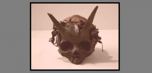 crane horned-skull.jpg