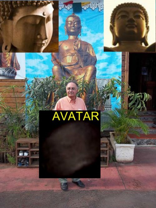 avatar1.png