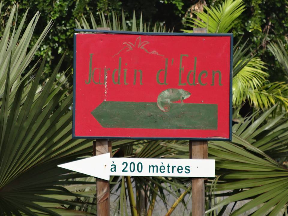 jardin d eden.jpg