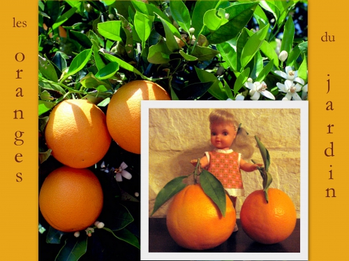 orange jardin.jpg