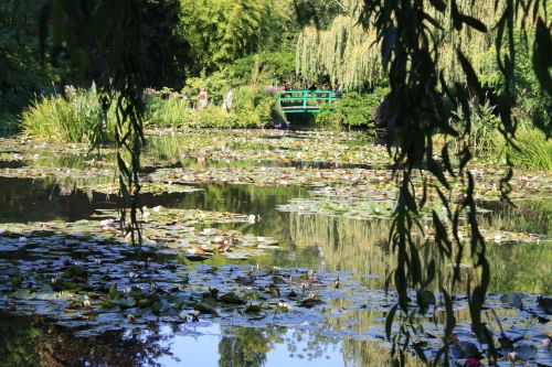 Le jardin des Nymphéas de lamaison de Claude Monet