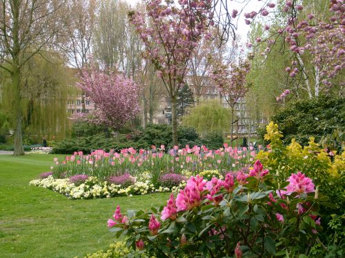 Le jardin bien fleuri du square  Saint Roch, non loin de l'Hôtel de ville du Havre