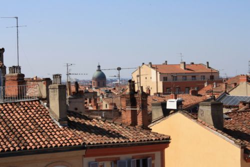 Vue sur les toits de Toulouse depuis la place des Carmes