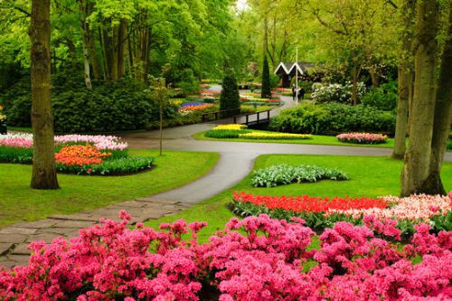 Dans le parc floral de Keukenhof au Pays-Bas