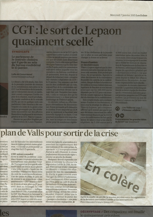 publications Les Echos du 7 janvier 2015.jpeg